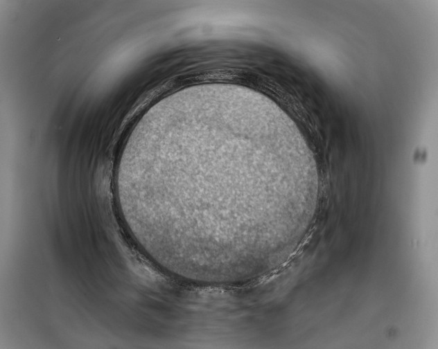 X0000099420146200805301414