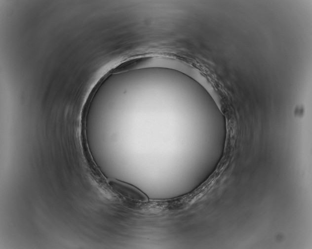 X0000099420148200805301414