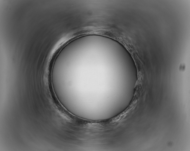 X0000099420150200805301414