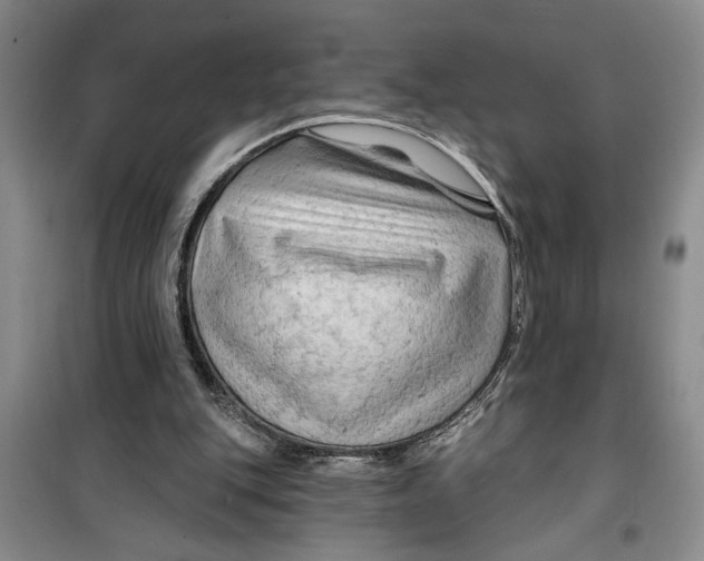 X0000099420151200805301414