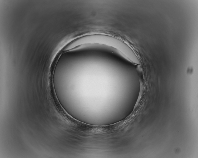 X0000099420152200805301414