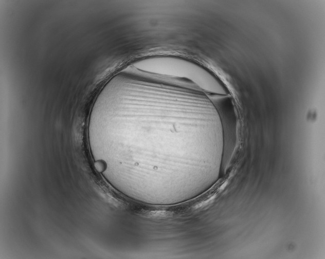 X0000099420153200805301414