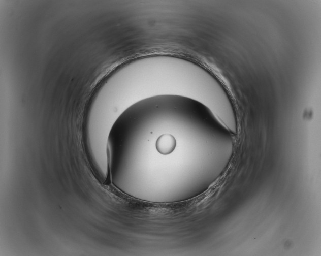 X0000099420154200805301414