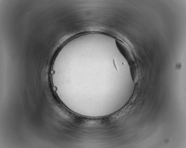 X0000099420155200805301414