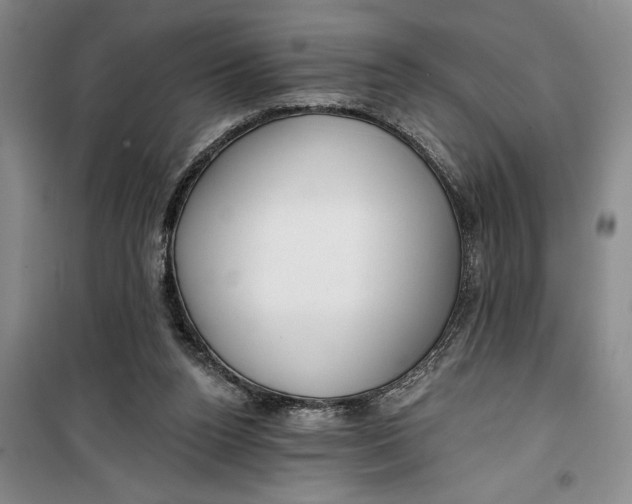 X0000099420160200805301415