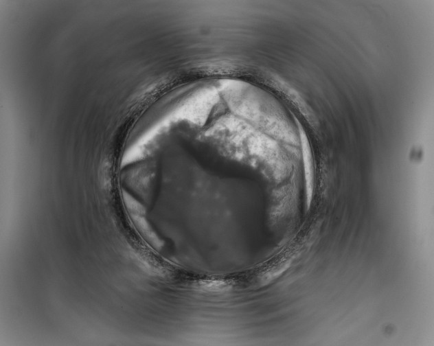 X0000099420161200805301415