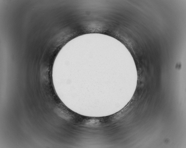 X0000099420162200805301415