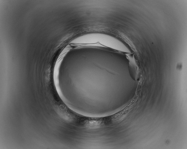 X0000099420163200805301415