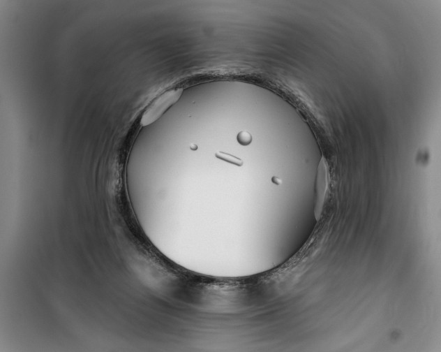 X0000099420164200805301415