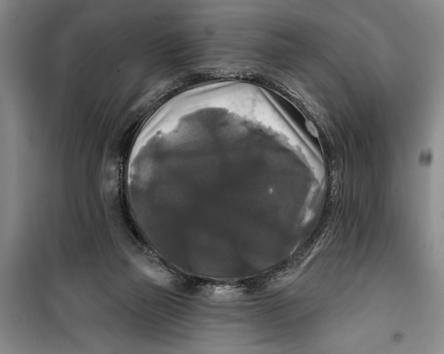 X0000099420165200805301415