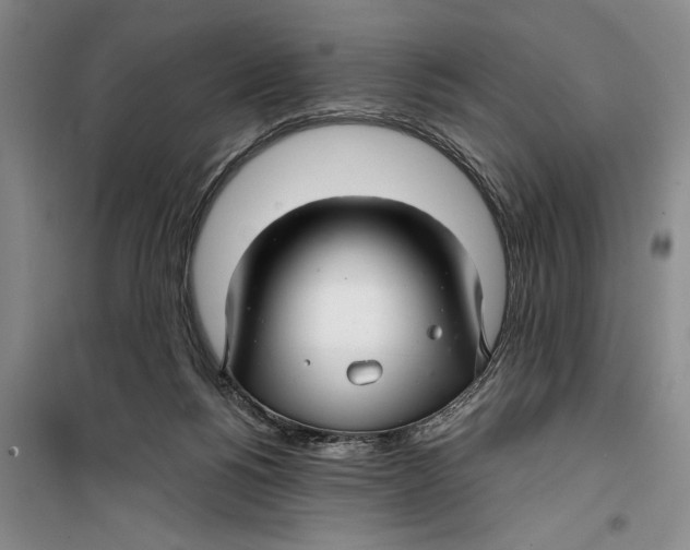 X0000099420168200805301415