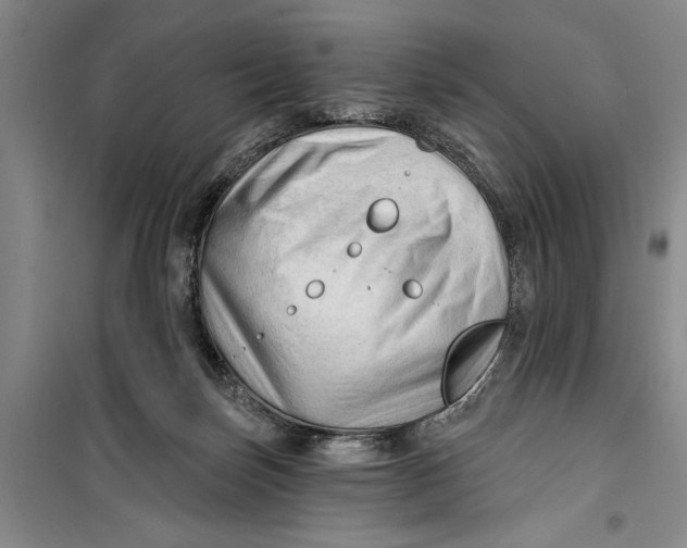 X0000099420171200805301415