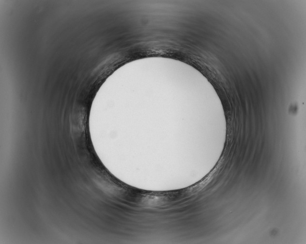 X0000099420174200805301415