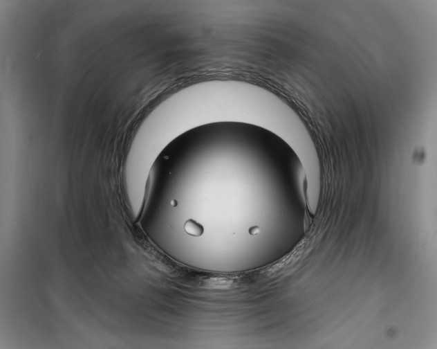 X0000099420176200805301415