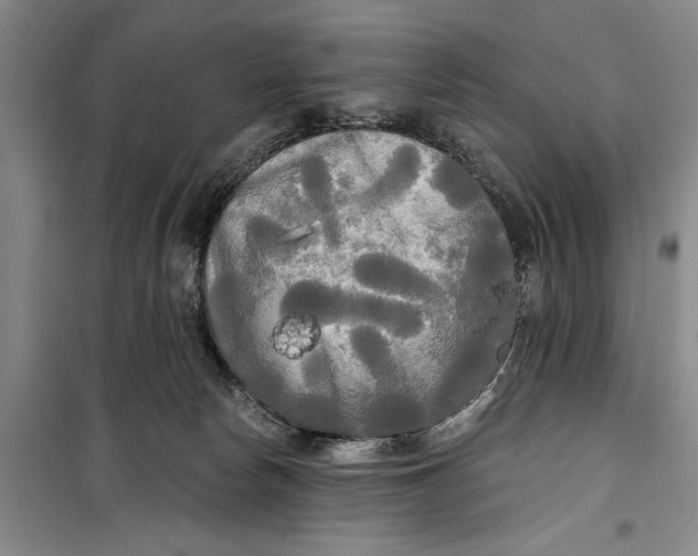 X0000099420178200805301415