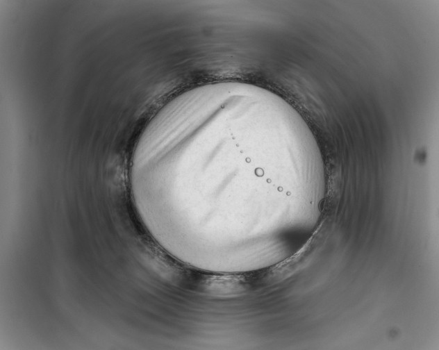 X0000099420179200805301415