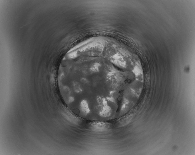 X0000099420181200805301415