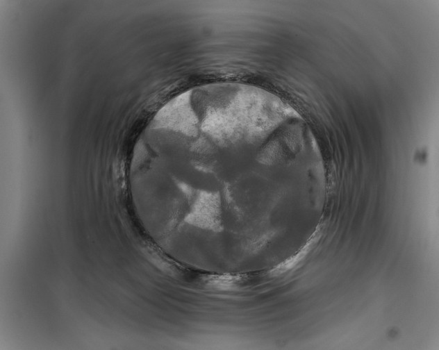 X0000099420182200805301415