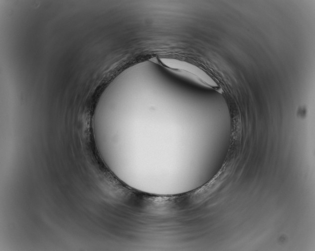 X0000099420184200805301415