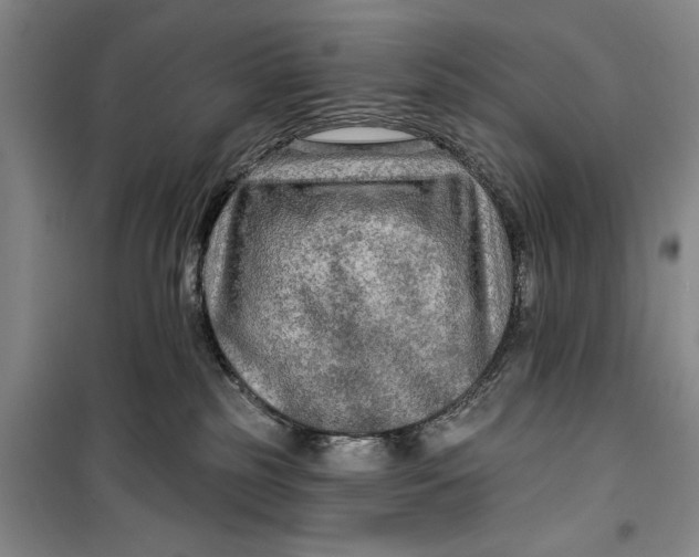 X0000099420185200805301415