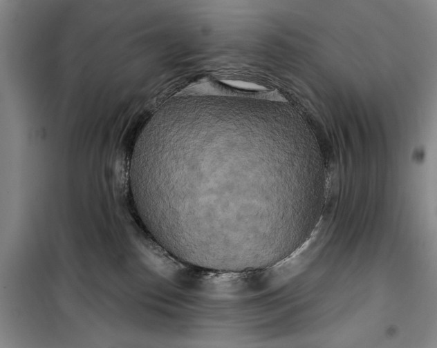 X0000099420186200805301415