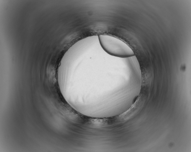 X0000099420187200805301415