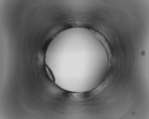 X0000099420188200805301415