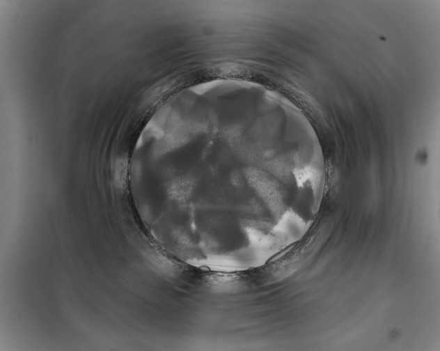 X0000099420189200805301415