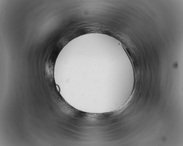 X0000099420190200805301415