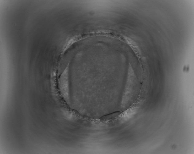 X0000099420192200805301415