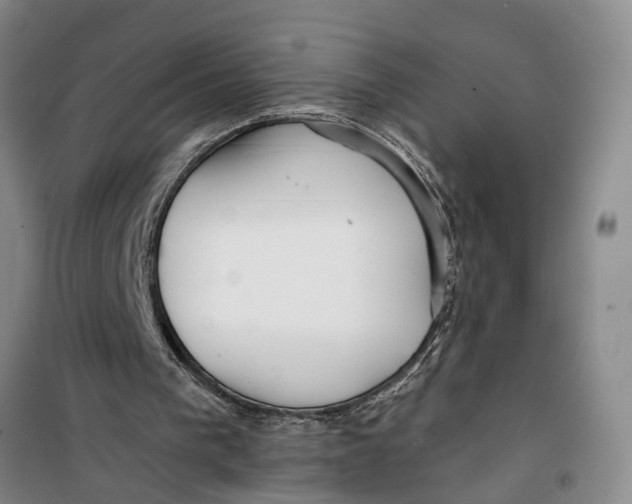 X0000099420193200805301414