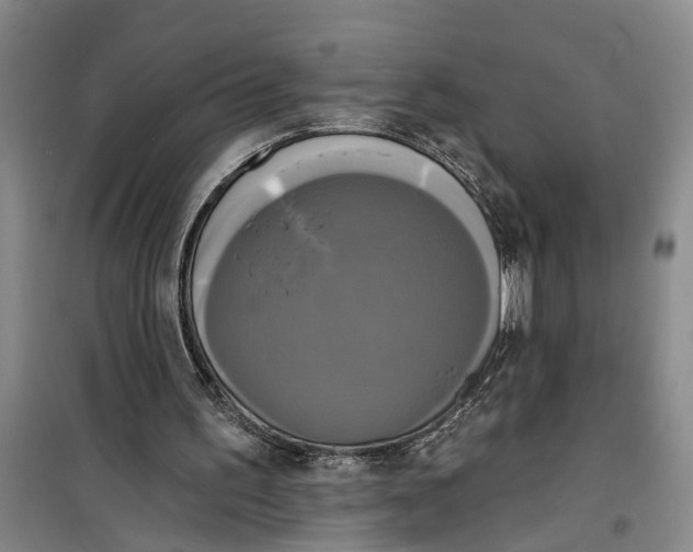 X0000099420195200805301414