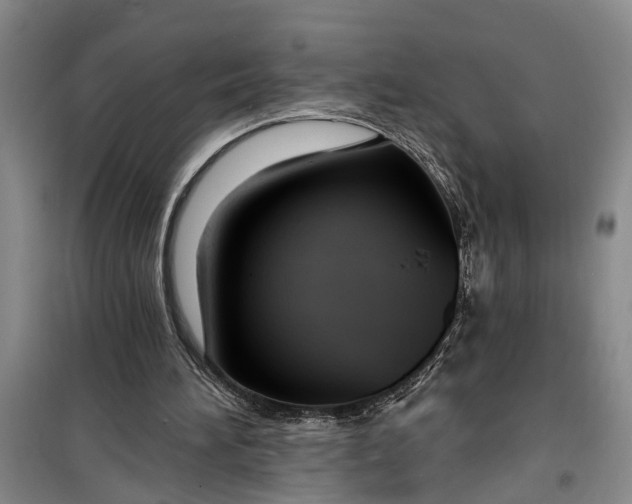 X0000099420196200805301414