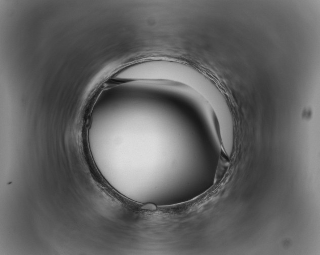 X0000099420197200805301414