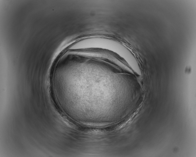 X0000099420198200805301414