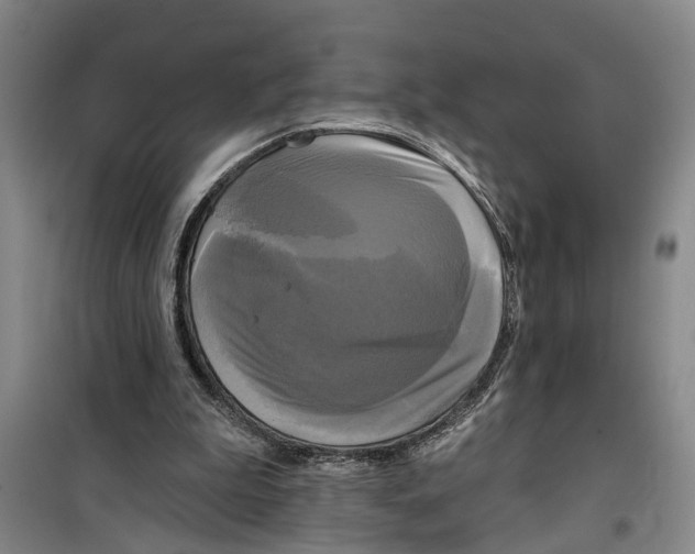 X0000099420199200805301414