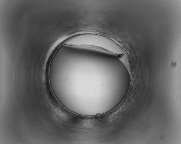 X0000099420200200805301414