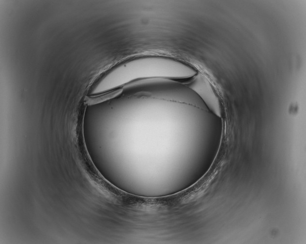 X0000099420201200805301414