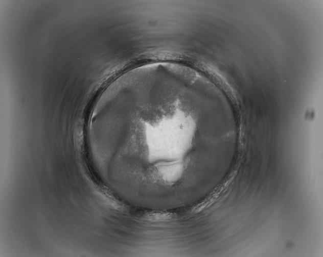 X0000099420202200805301414