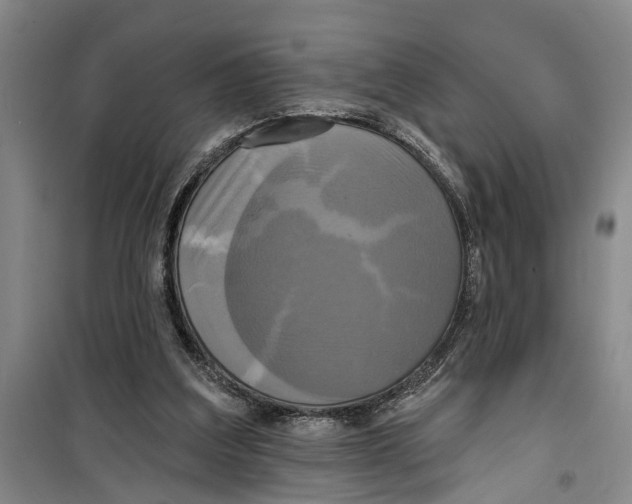 X0000099420203200805301414