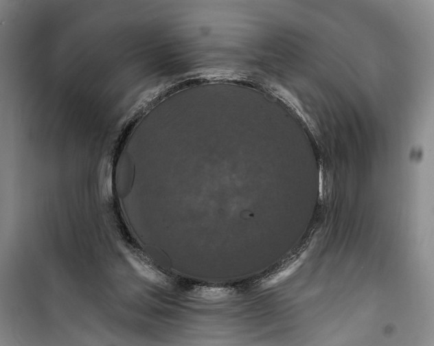 X0000099420205200805301414