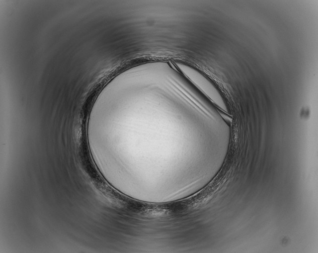 X0000099420206200805301414