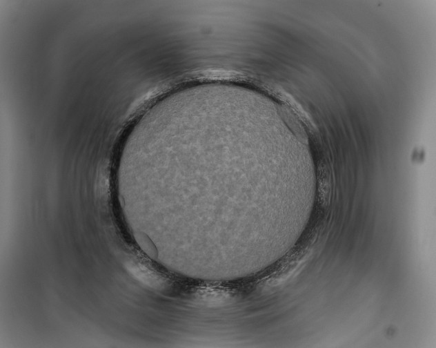 X0000099420207200805301414