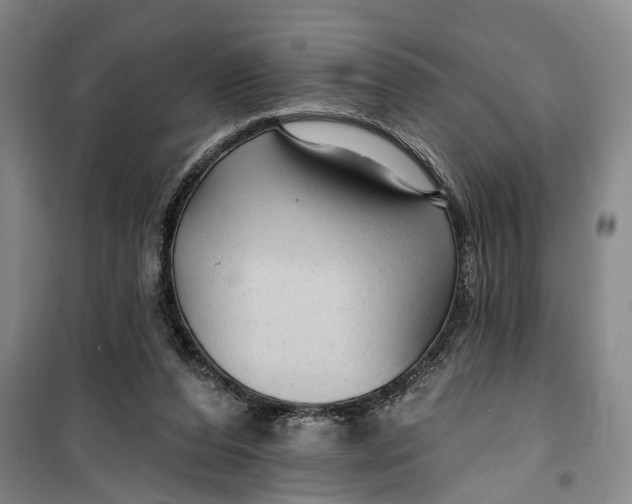 X0000099420208200805301414