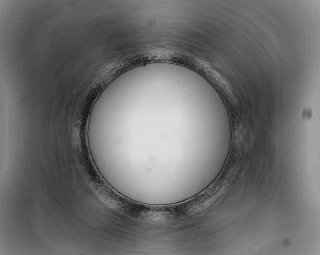 X0000099420209200805301414