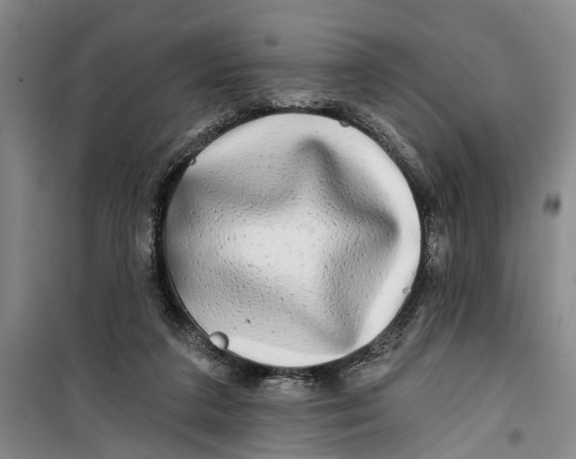 X0000099420211200805301414