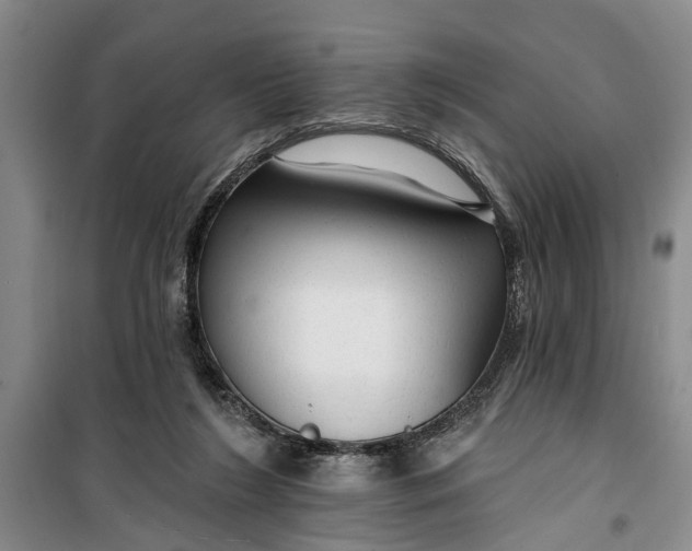 X0000099420212200805301414