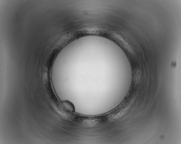 X0000099420213200805301414