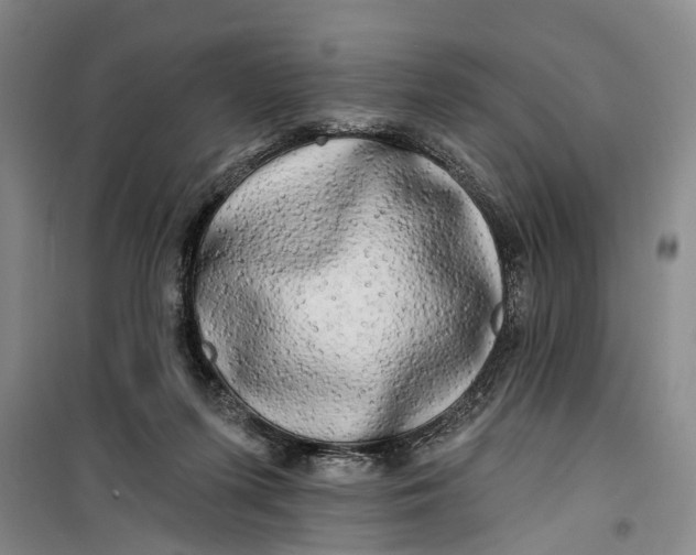 X0000099420215200805301414