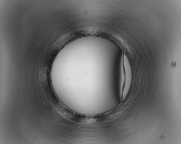 X0000099420217200805301414